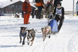 Lenk 2012 SM